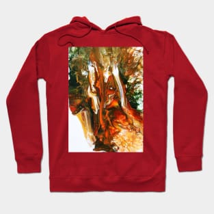 Still Life Fluid Art Hoodie